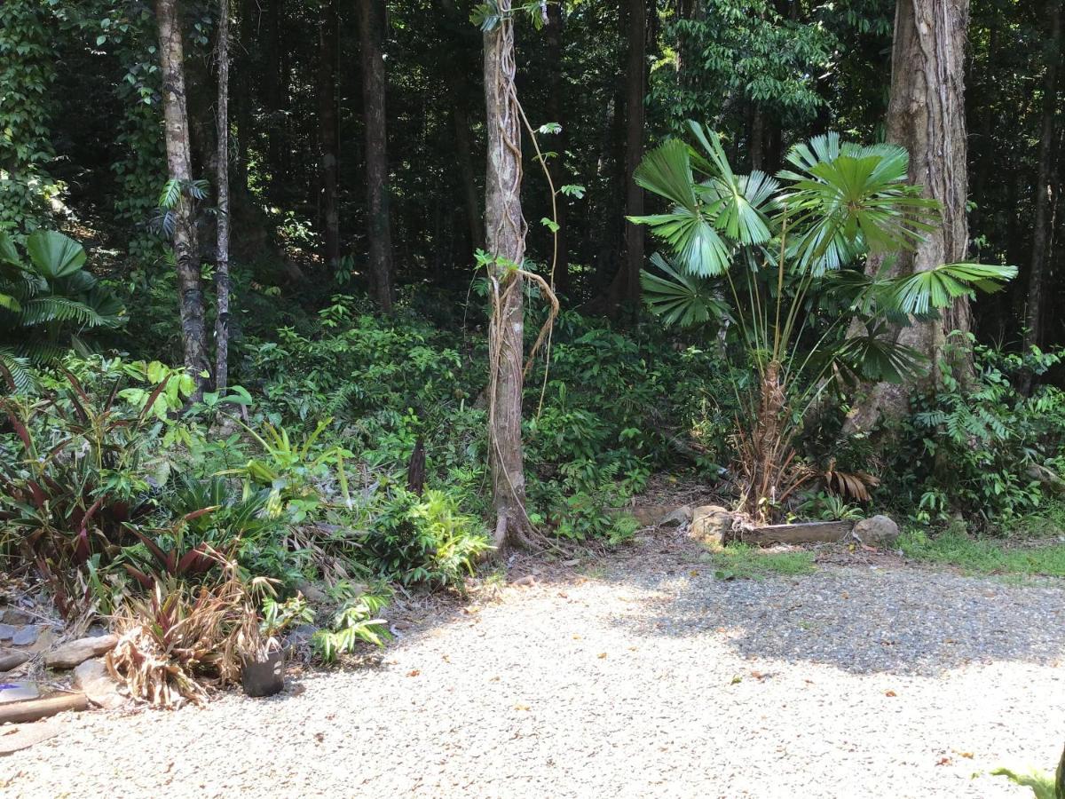 Forest Views Diwan Exterior foto
